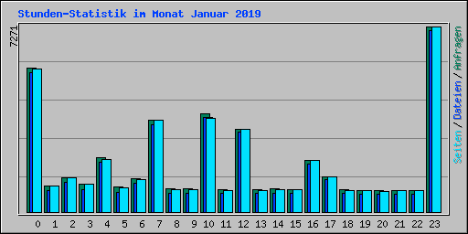 Stunden-Statistik im Monat Januar 2019