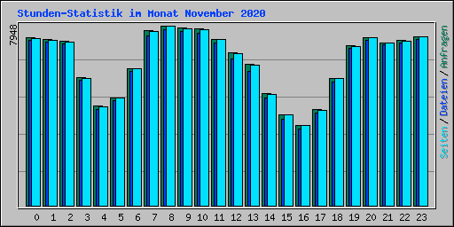 Stunden-Statistik im Monat November 2020