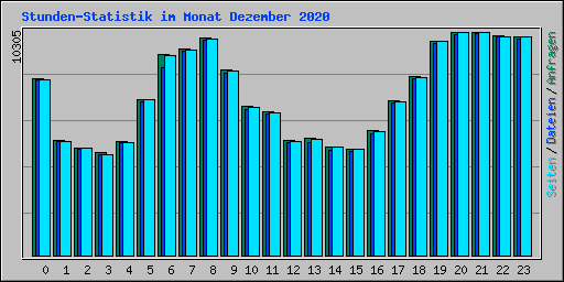 Stunden-Statistik im Monat Dezember 2020
