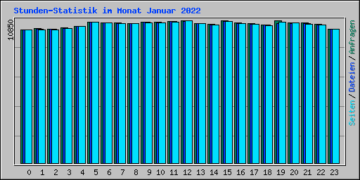Stunden-Statistik im Monat Januar 2022