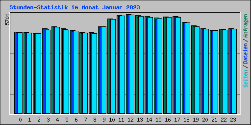 Stunden-Statistik im Monat Januar 2023