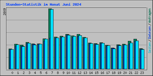 Stunden-Statistik im Monat Juni 2024