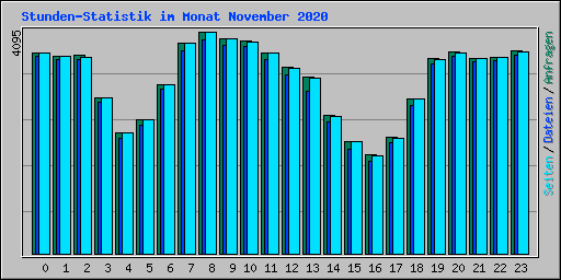 Stunden-Statistik im Monat November 2020