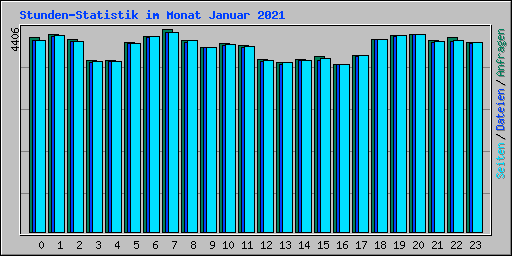 Stunden-Statistik im Monat Januar 2021