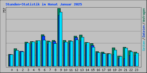 Stunden-Statistik im Monat Januar 2025