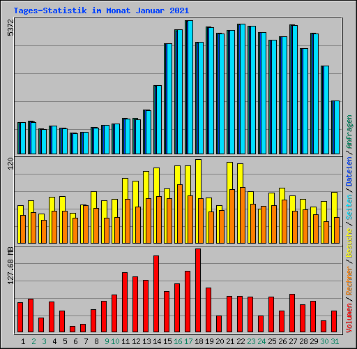 Tages-Statistik im Monat Januar 2021