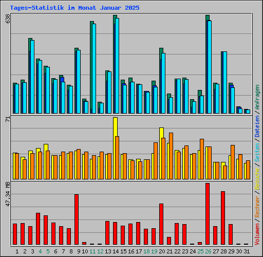 Tages-Statistik im Monat Januar 2025