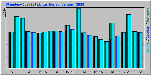 Stunden-Statistik im Monat Januar 2020