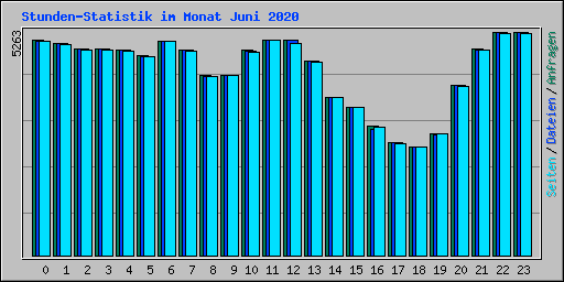 Stunden-Statistik im Monat Juni 2020