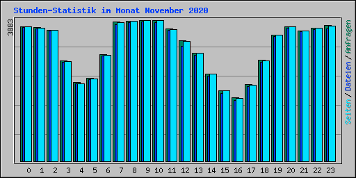 Stunden-Statistik im Monat November 2020