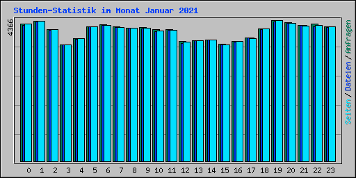 Stunden-Statistik im Monat Januar 2021