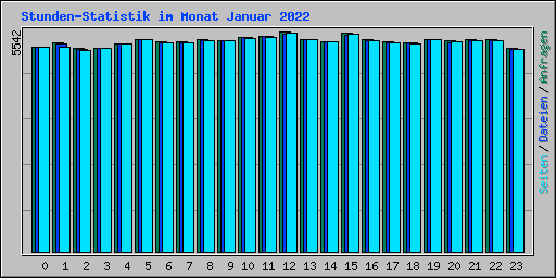 Stunden-Statistik im Monat Januar 2022