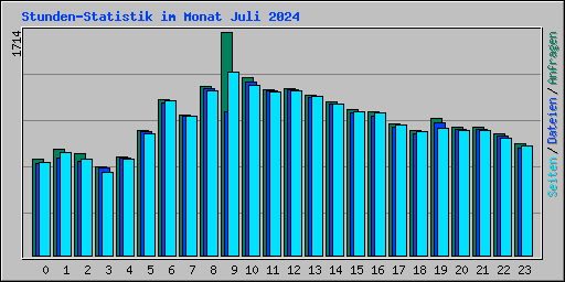 Stunden-Statistik im Monat Juli 2024