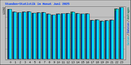Stunden-Statistik im Monat Juni 2025
